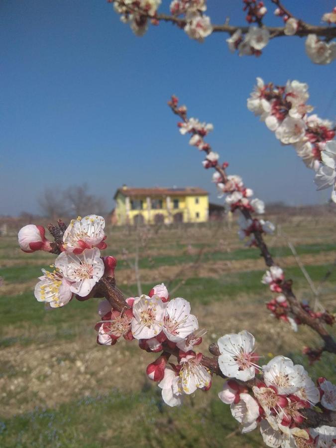 La Crosona Appartement Colà Buitenkant foto